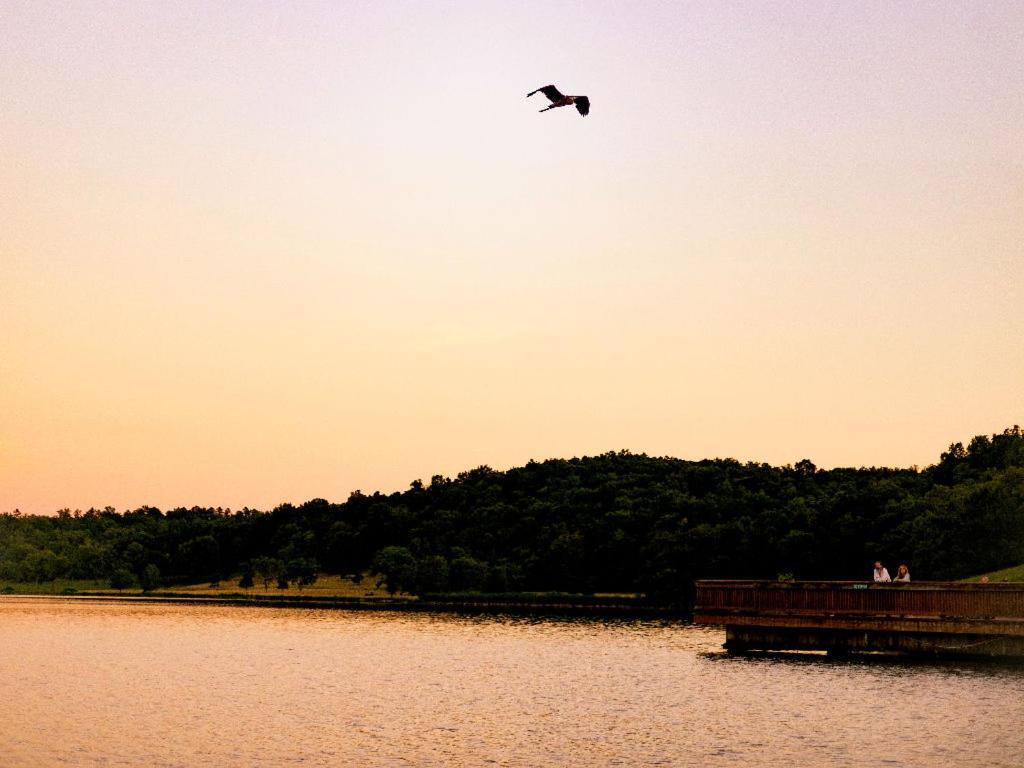 Ymca Trout Lodge Potosi Luaran gambar